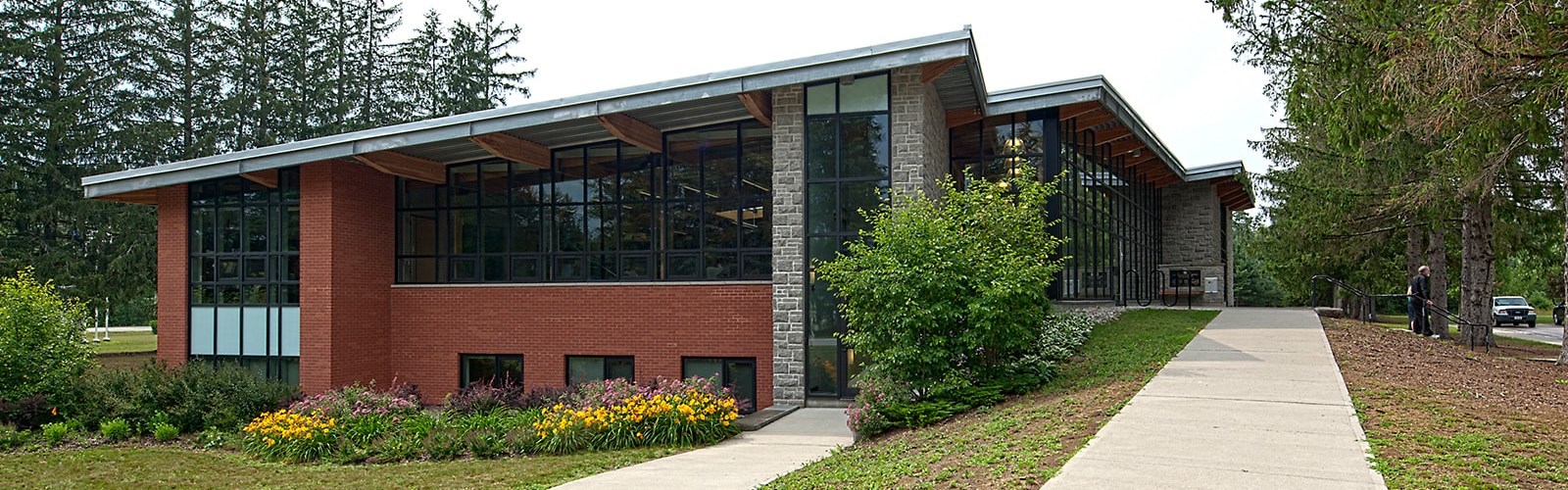 Springwater cityscape and real estate market
